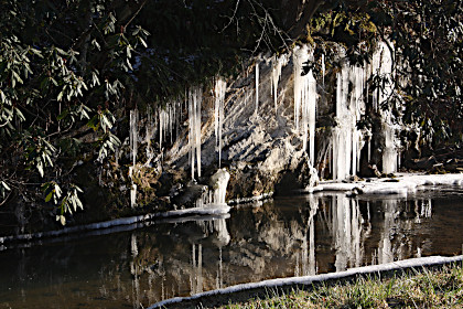 Icicles on the white rock in mid January.