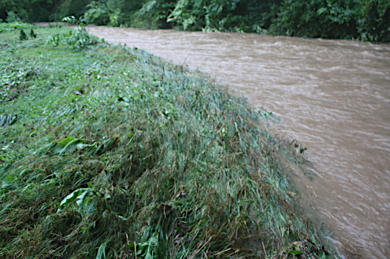 Creek bank after the flood of 2021