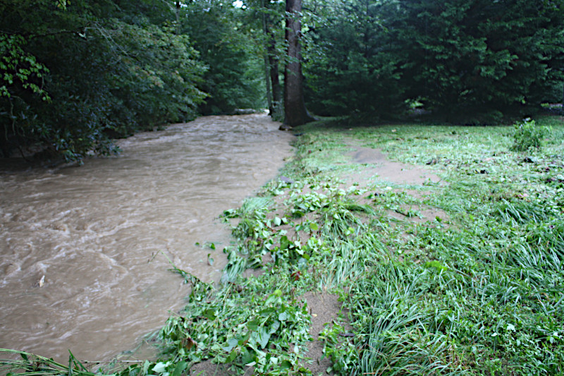 Creek bank after  the flood of 2021