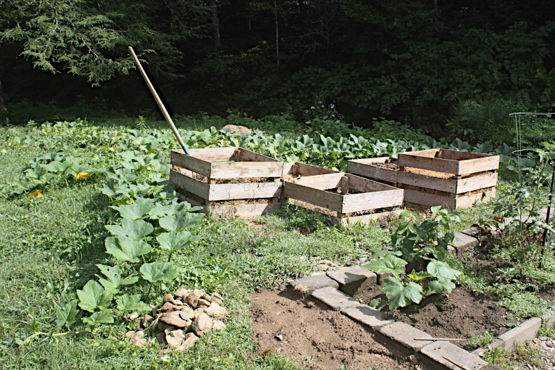 Compost Bins in Transition. Two are being turned and one is being built.