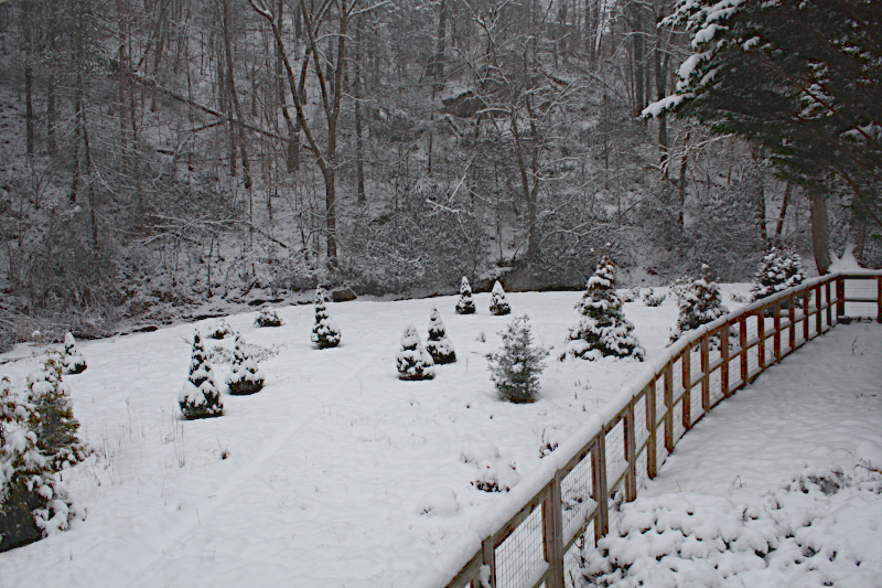 Winter scene from my writing desk.