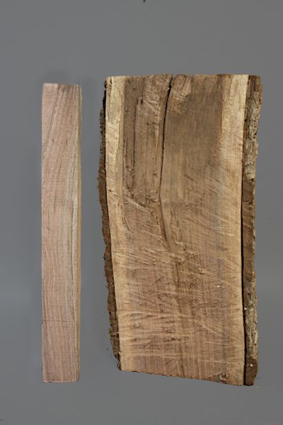 Walnut Blank for Bear Chain and
		log it was cut from