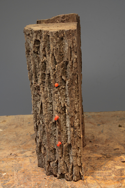 Red section on the workbench.