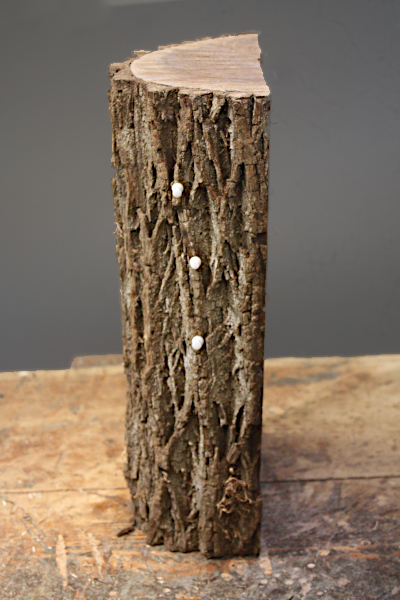 White section on the workbench.