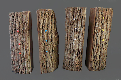 Four color-coded sections