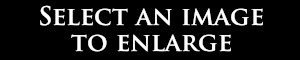 Select an Image to Enlarge