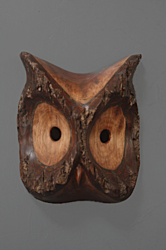 Owl Mask 1st Photograph