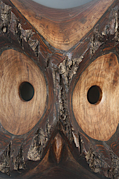 Owl Mask 2nd Photograph
