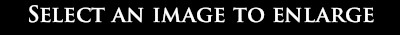 Select an Image to Enlarge