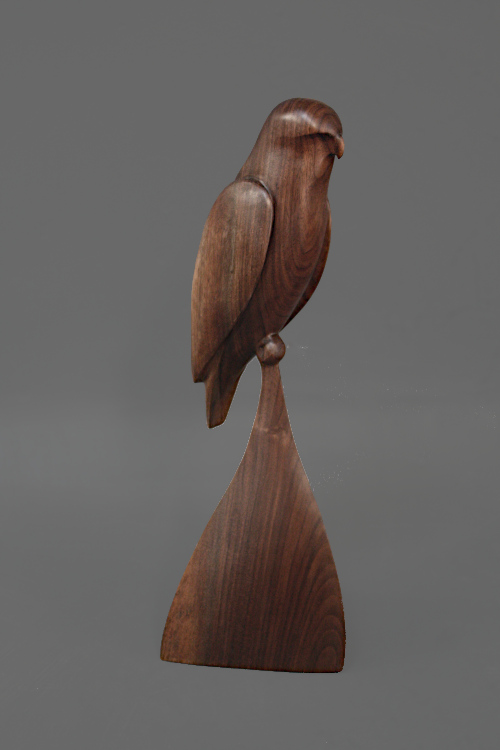 Walnut Hawk