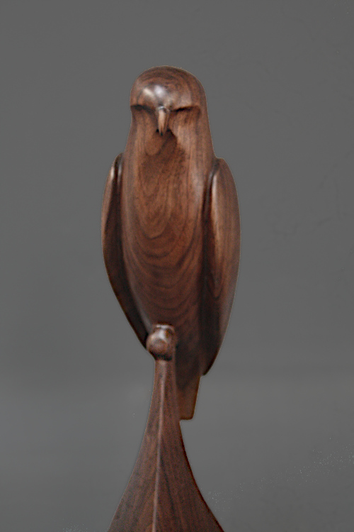 Walnut Hawk