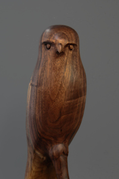 Walnut Hawk