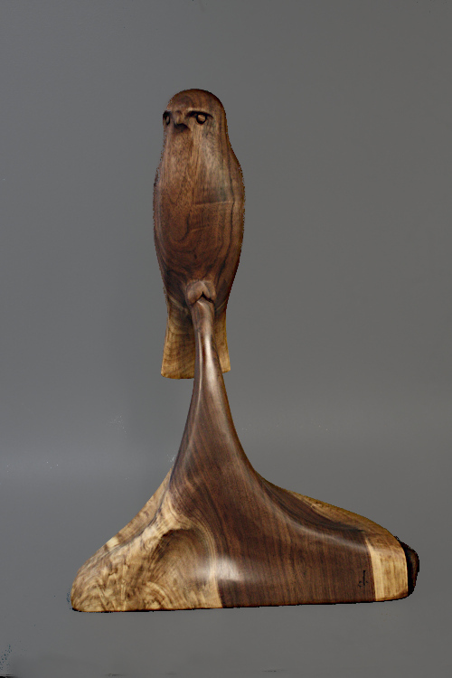 Walnut Hawk