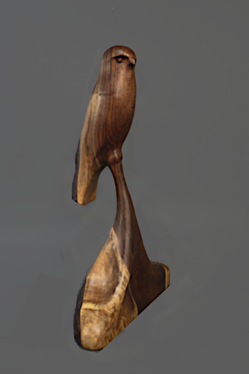 Walnut Hawk