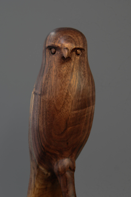 Walnut Hawk