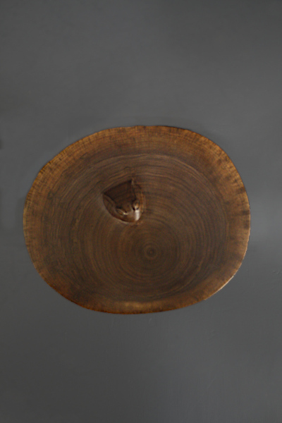 Finished Carving, Treefrog