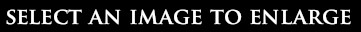 Select an Image to Enlarge
