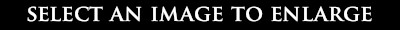 Select an Image to Enlarge