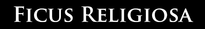 Ficus Religiosa
